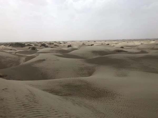 深圳婚姻繼承律師為您講解放棄繼承權需要我們注意什么問題