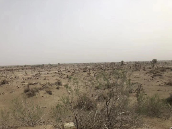 買賣合同問題如何處理?深圳買賣合同律師為您解答