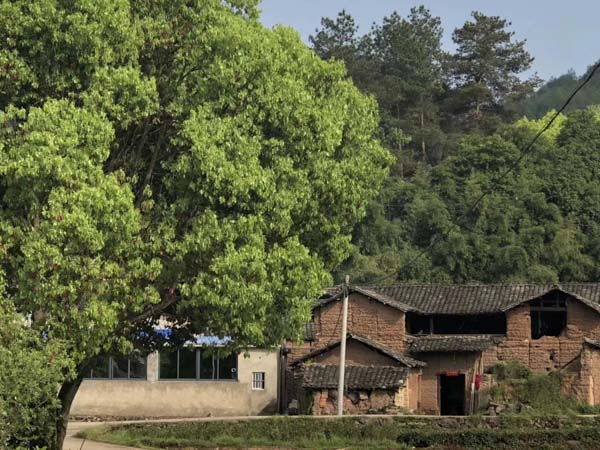 深圳知名刑事律師來講講盜竊信用卡的行為如何定性