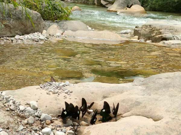 拆遷有道 | 深圳律師事務所提示:遇到麻煩不用急,拆遷戶這么做就對了