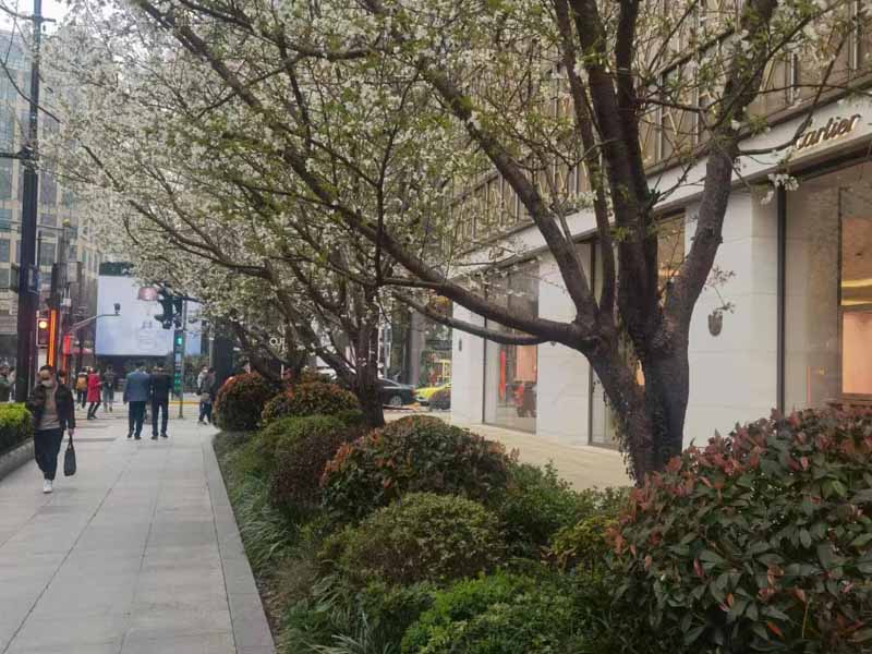 勞動者未事先告知用人單位能否直接申請仲裁?深圳法律咨詢網來回答