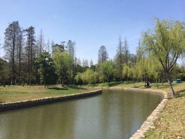 深圳律師咨詢網帶您了解對承包方轉包建設工程的認定與處理