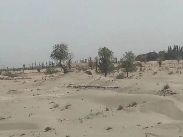 深圳優秀律師事務所律師為您解答公司股東之間出現出資糾紛該怎么辦