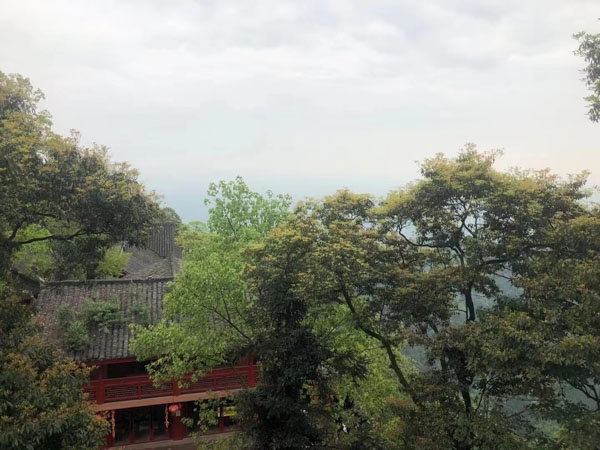 鹽田區律師在線解答：繼承人以外的人可否要求分配遺產？