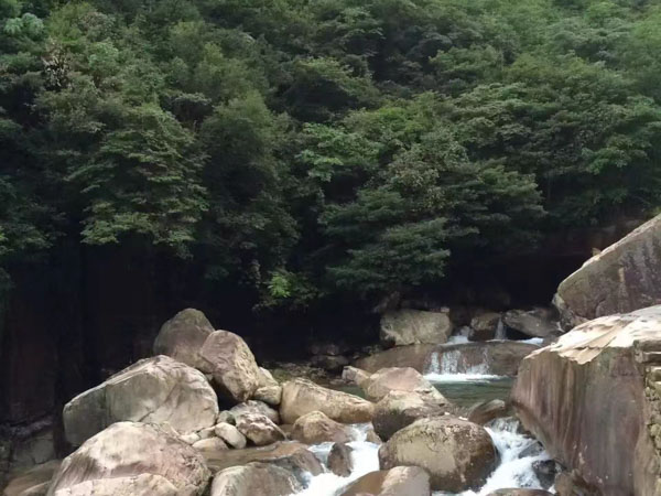 深圳法律咨詢(xún)網(wǎng)來(lái)講講能否以勞動(dòng)合同倒簽為由主張工資差額