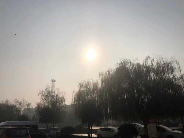 都在這兒了！關(guān)于遺產(chǎn)繼承，深圳遺產(chǎn)糾紛律師2022最新法律條文整理