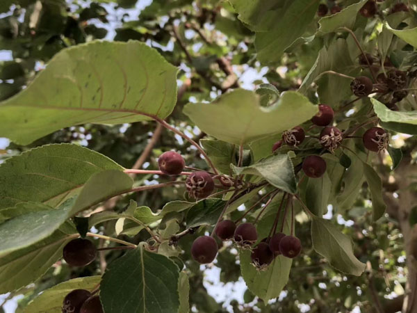 如何解決小區停車位所有權爭議?深圳房產律師告訴您