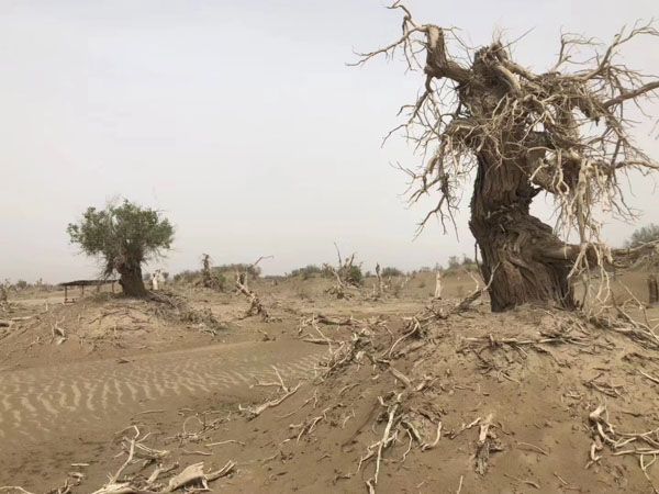 法律課堂:深圳著名辯護律師為您介紹有糾紛的房子拆遷會面臨哪些問題