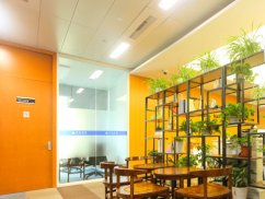 深圳土地糾紛律師來(lái)講講農(nóng)村集體土地出租合同效力的法律分析