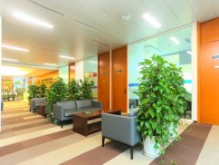 <b>深圳工程款糾紛律師深度剖析：工程債務糾紛的前世今生</b>